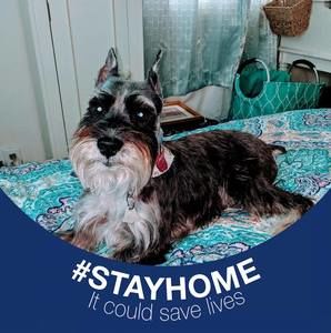 Meet your Posher, Terri